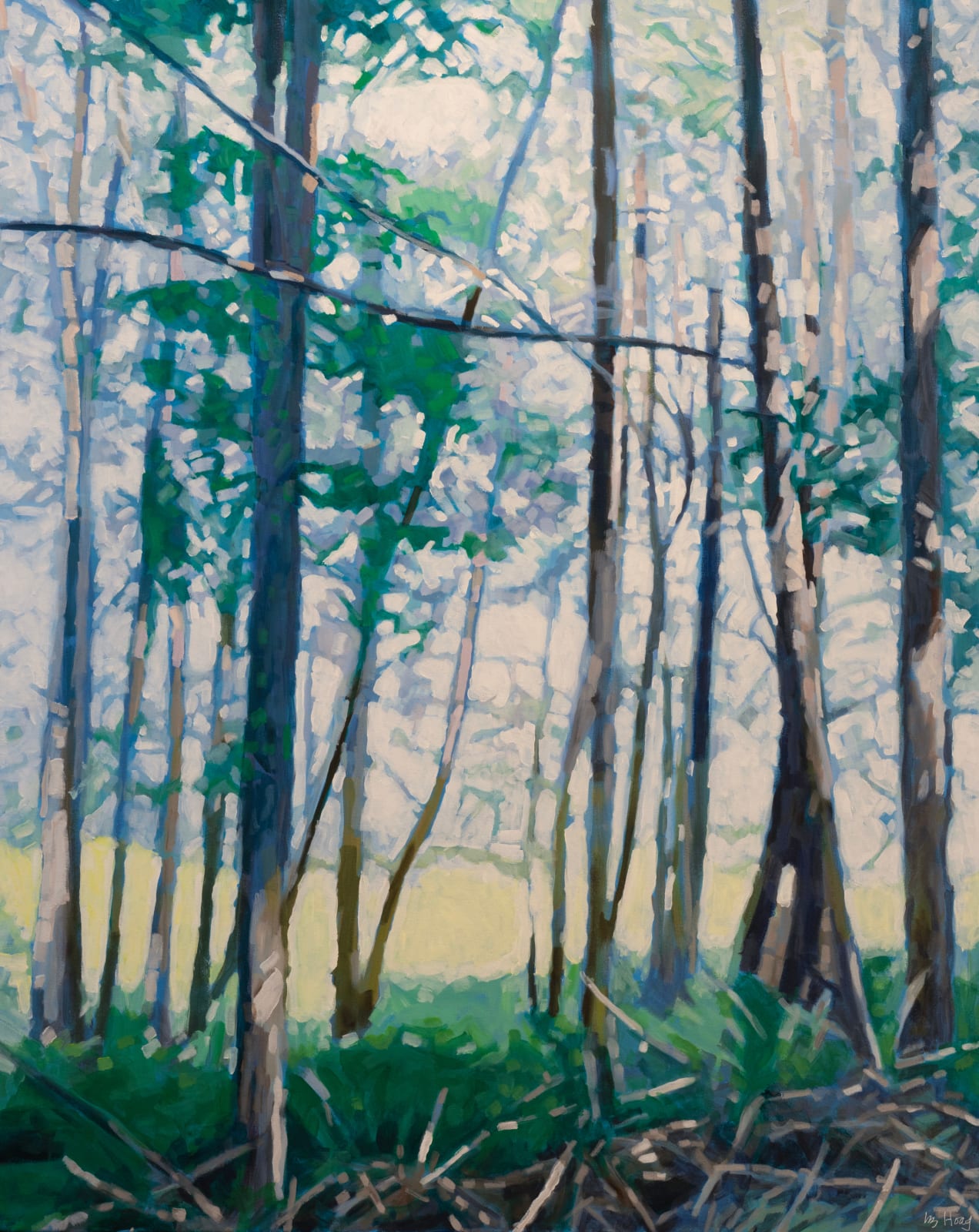 Liz Hoag, The Field Ahead