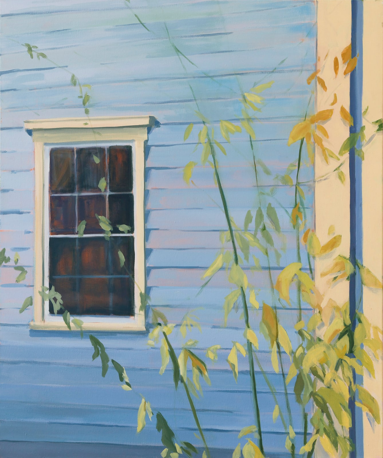 Anne Ireland, Old House, Bath