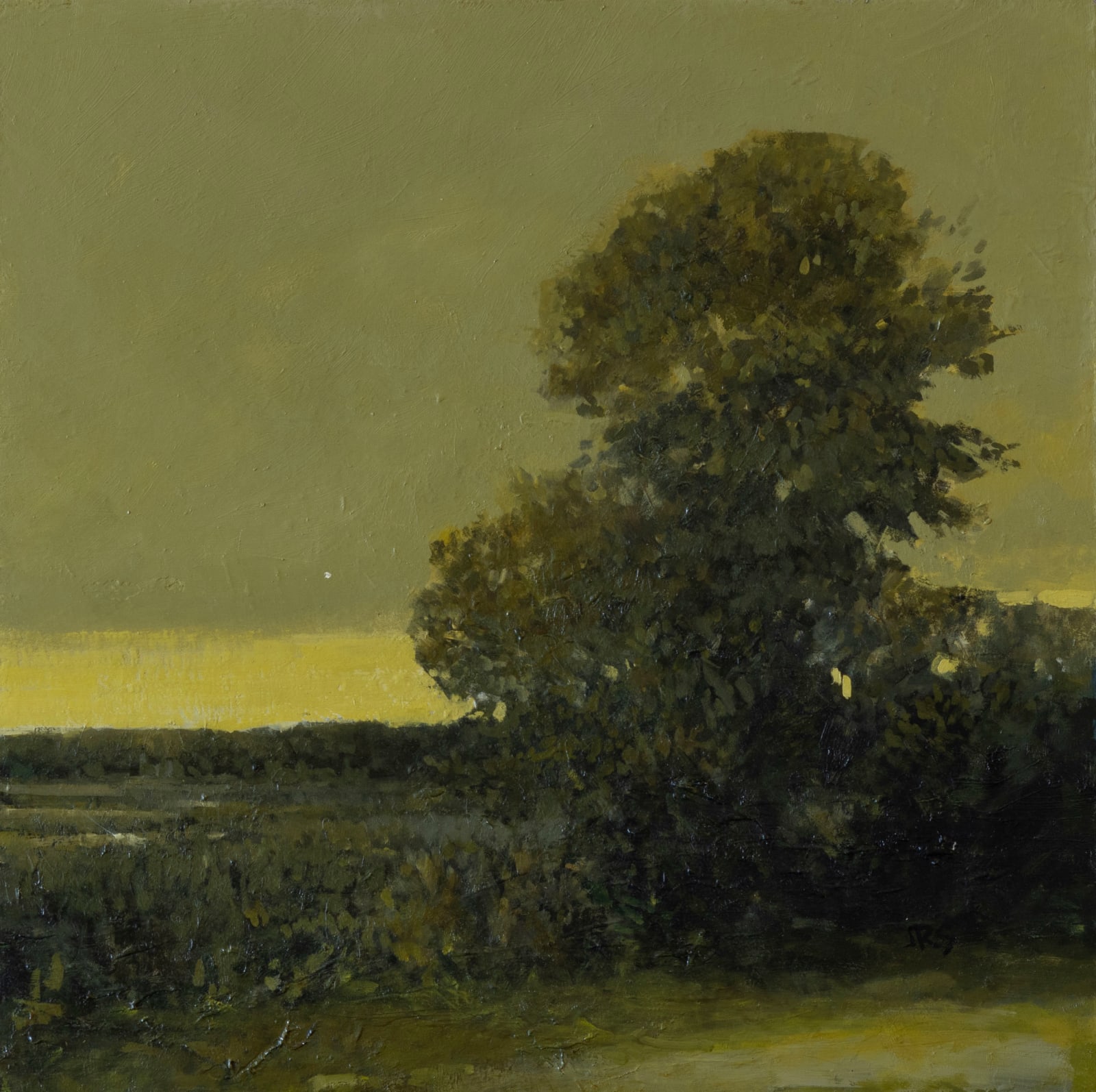 John Santoro, Venus Sets, Back Cove