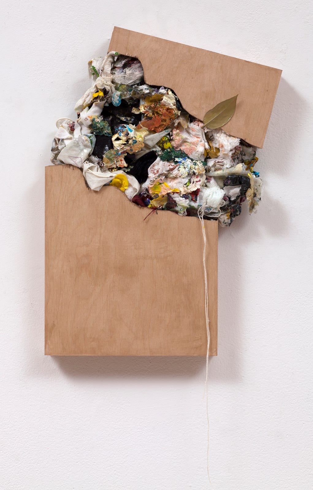 Sarah Meyers Brent, Broken Canvas