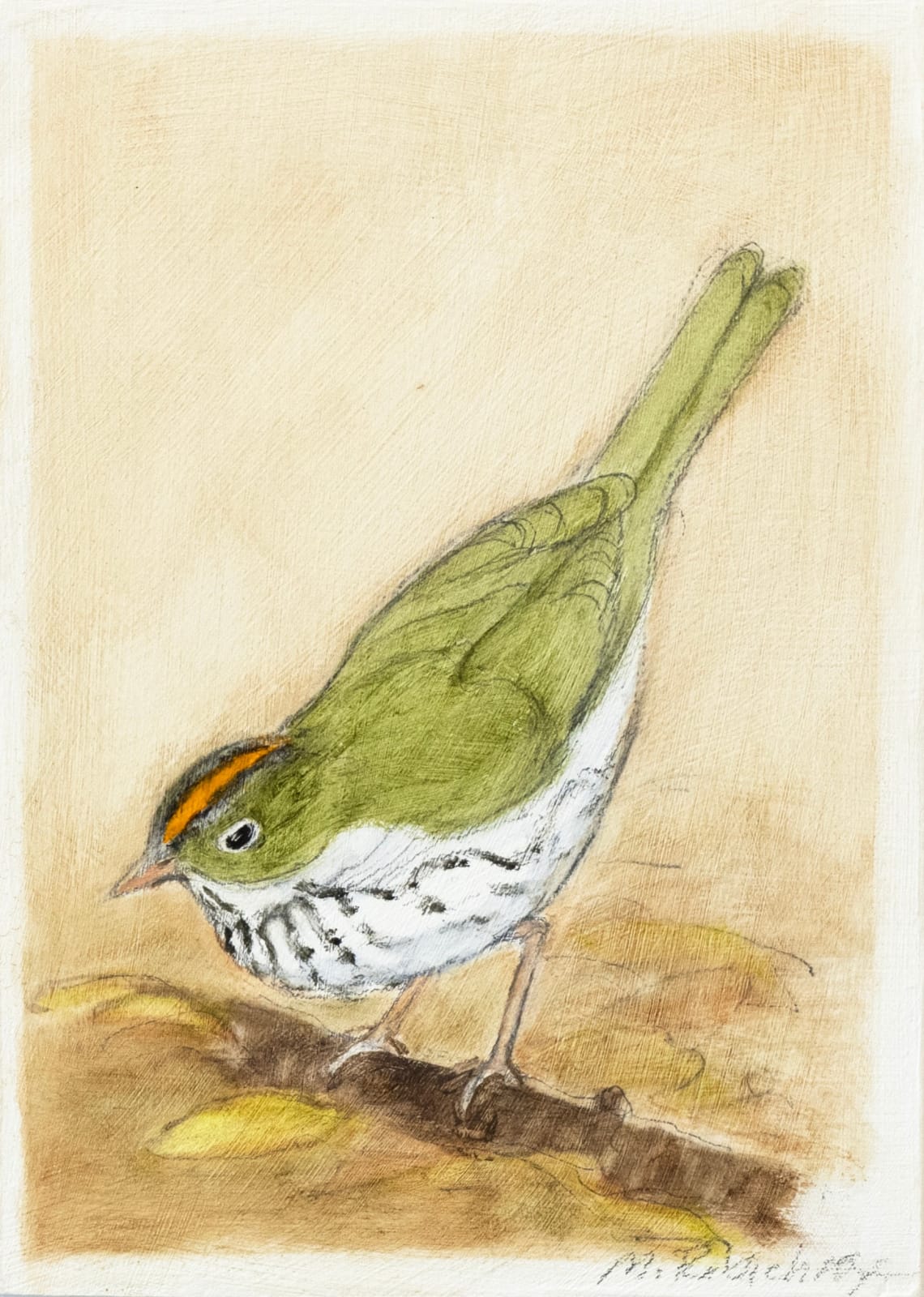 Marguerite Robichaux, Ovenbird