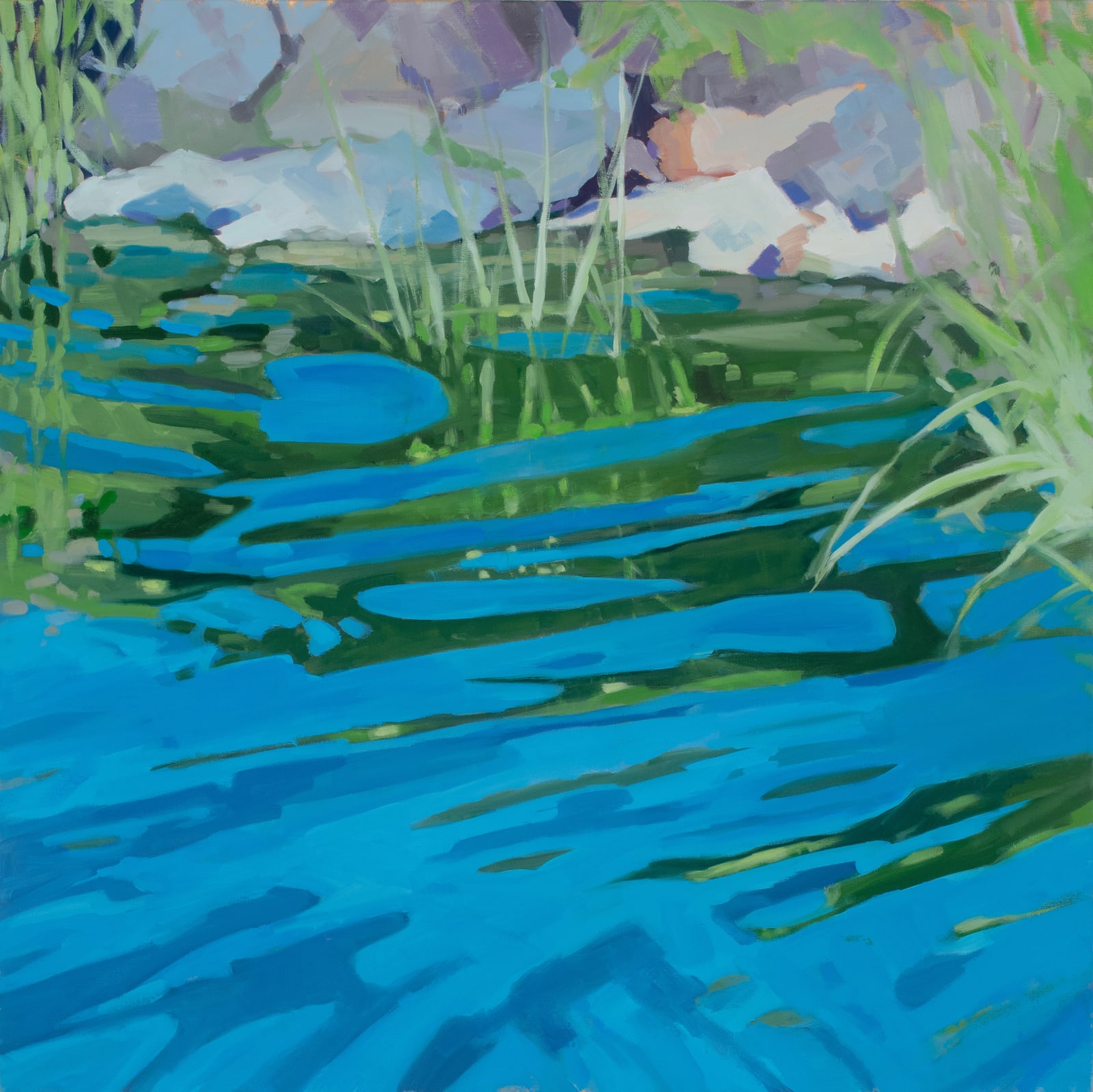 Anne Ireland, Approaching the Shore