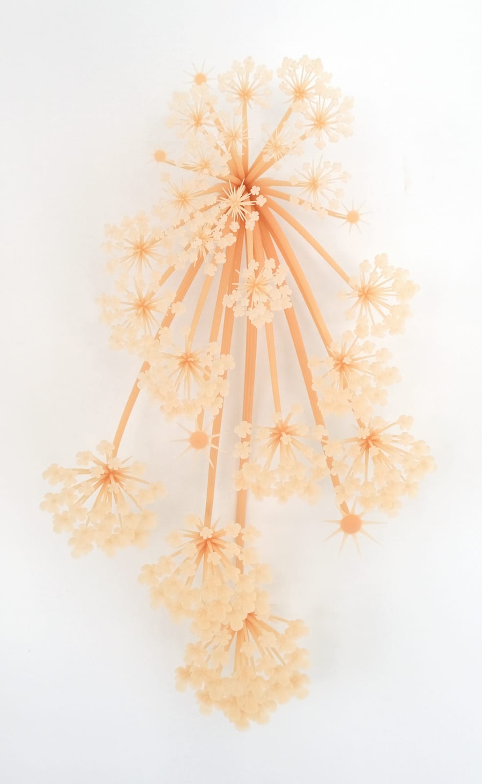 Elijah Ober, CAROLINE