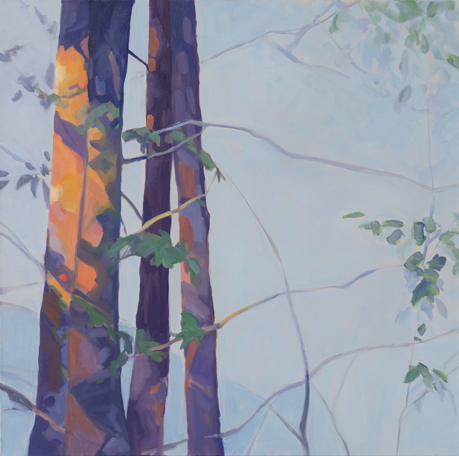 Anne Ireland, Sunspot