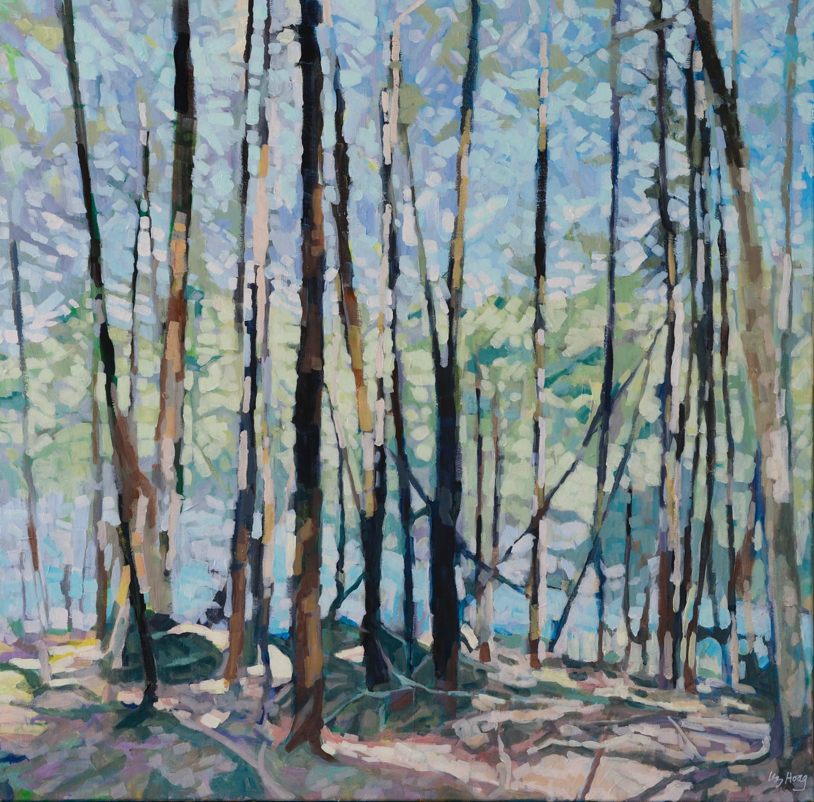 Liz Hoag, Summer Path