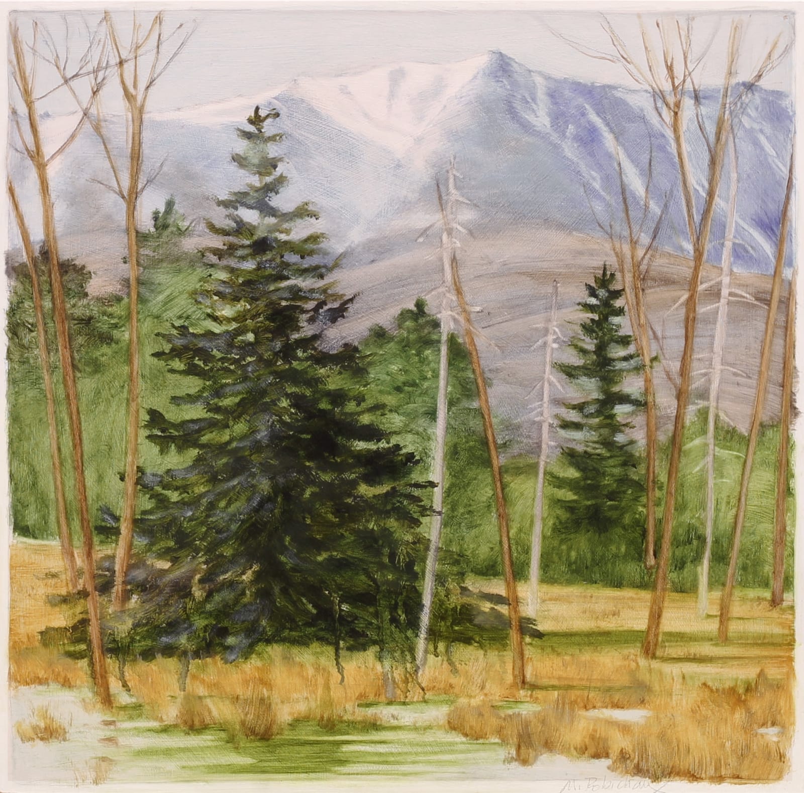 Marguerite Robichaux, Katahdin Fir