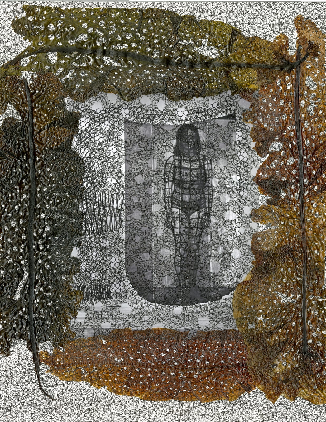 Celeste Roberge, Illuminations, 2019
