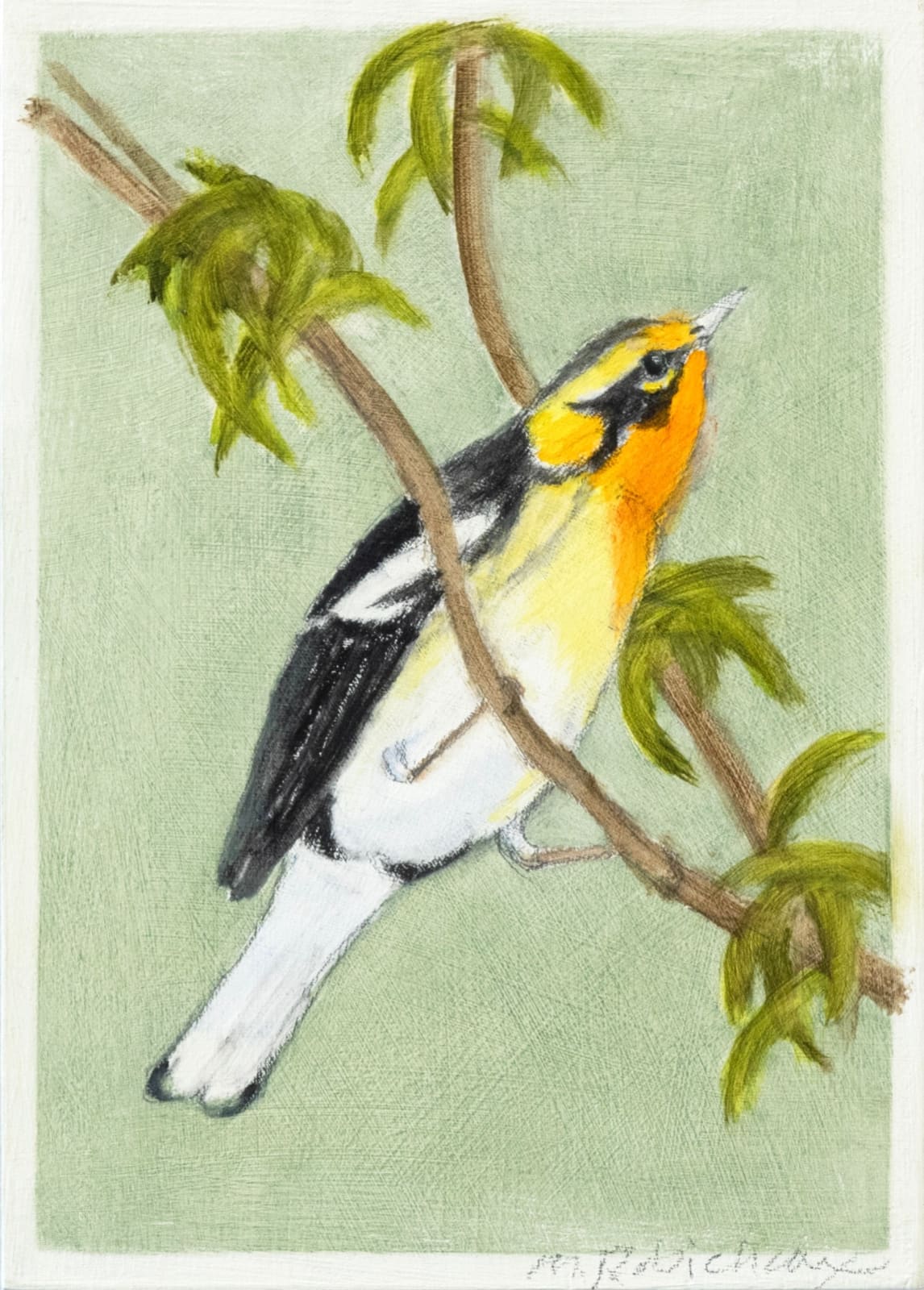 Marguerite Robichaux, Blackburnian Warbler