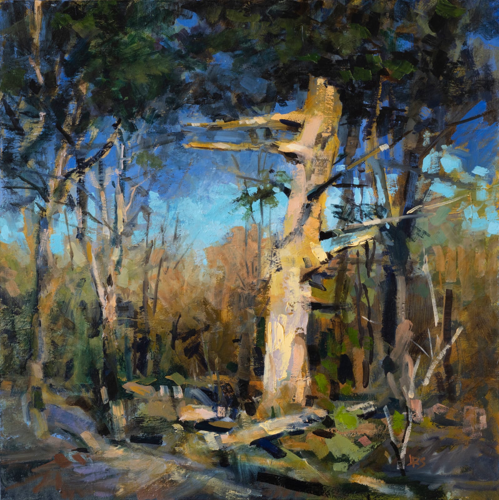 John Santoro, Mourning Light, For a Friend