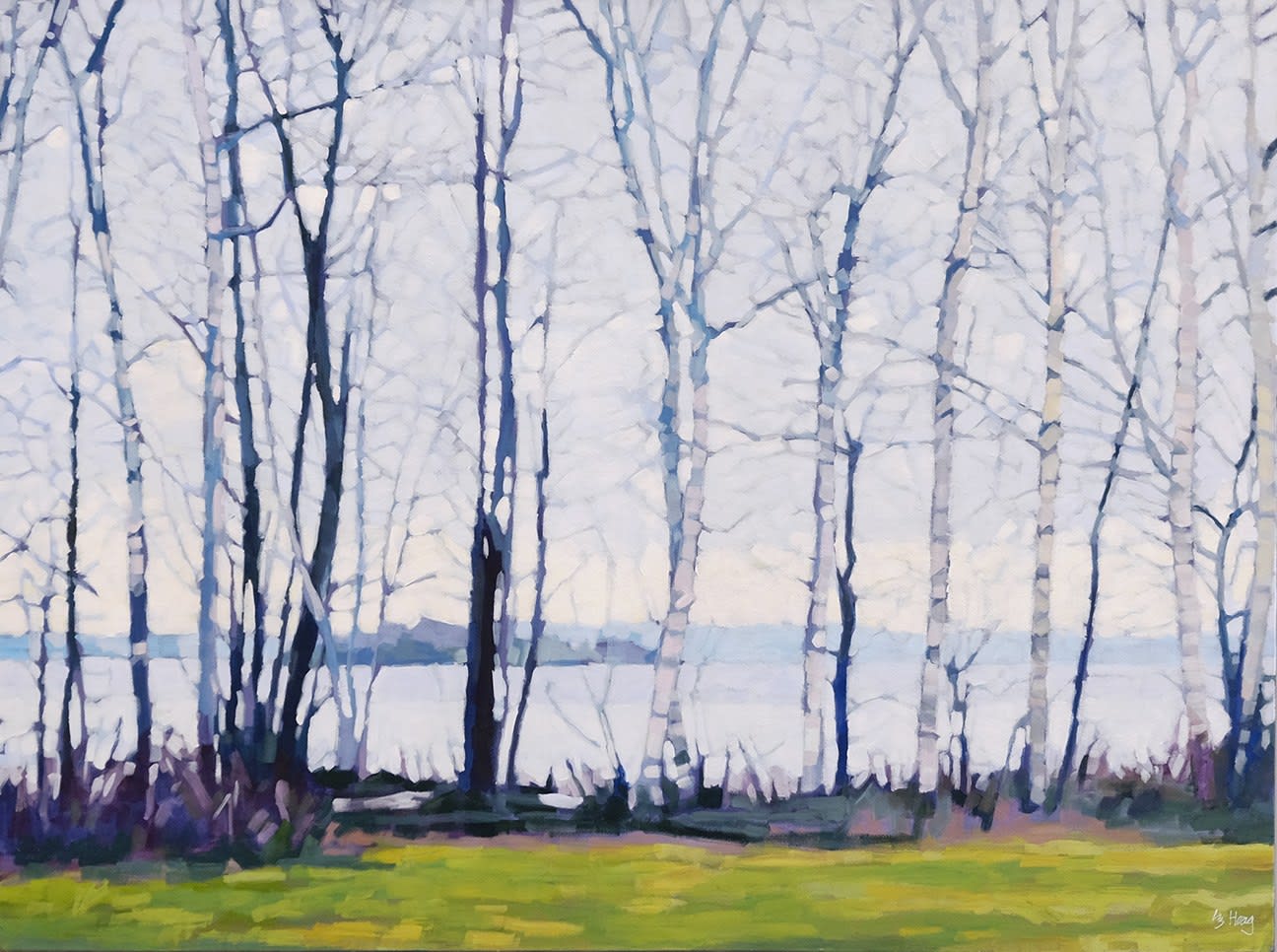 Liz Hoag, Lake View