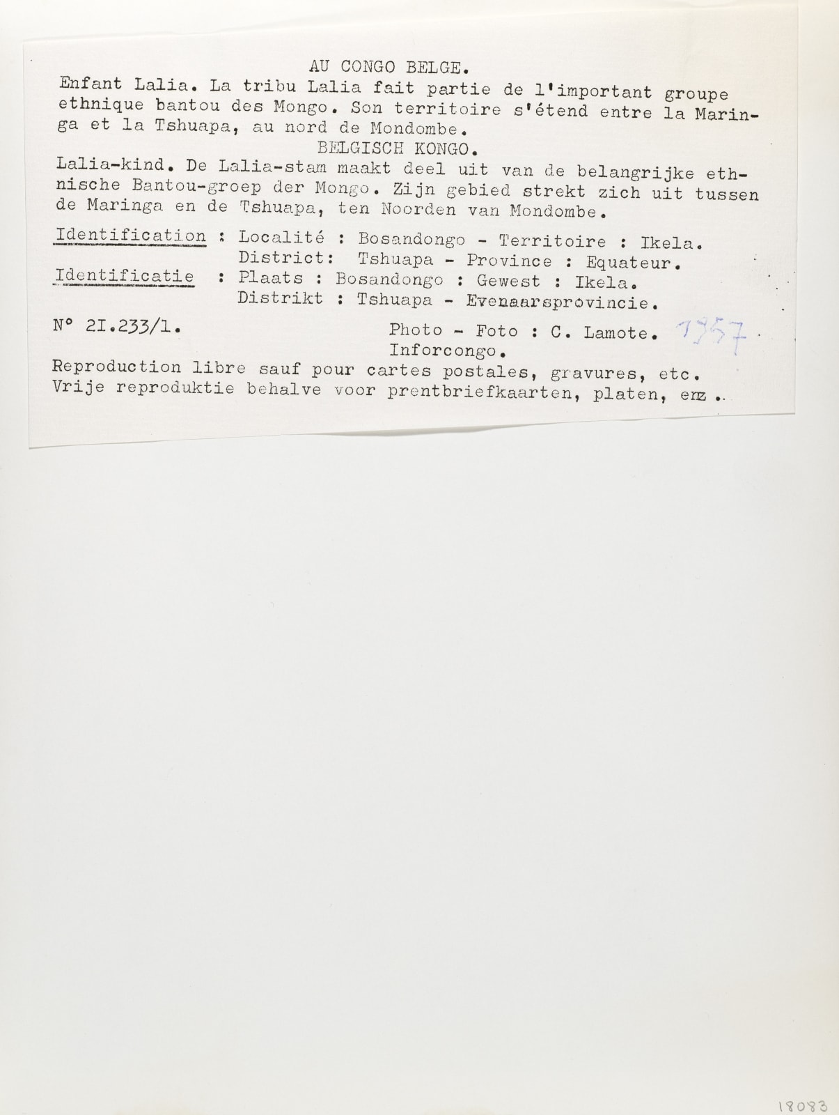 Carlo Lamote (active in the 1940s and 1950s),