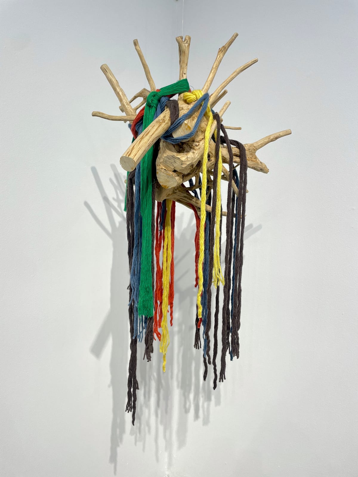 Antonio Pichilla Quiacain, Tierra, 2017