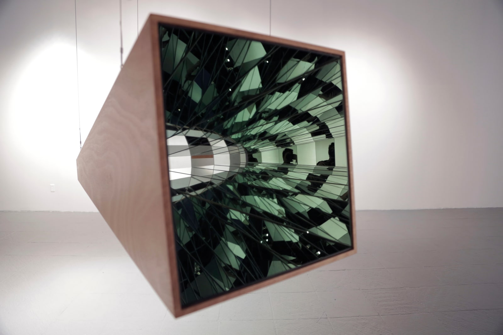 Julia Carrillo, Kuiper II, 2015