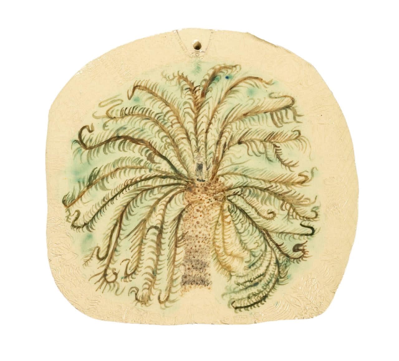 Samuel Sarmiento, Proceso de producción artesanal de miel de palma, 2023