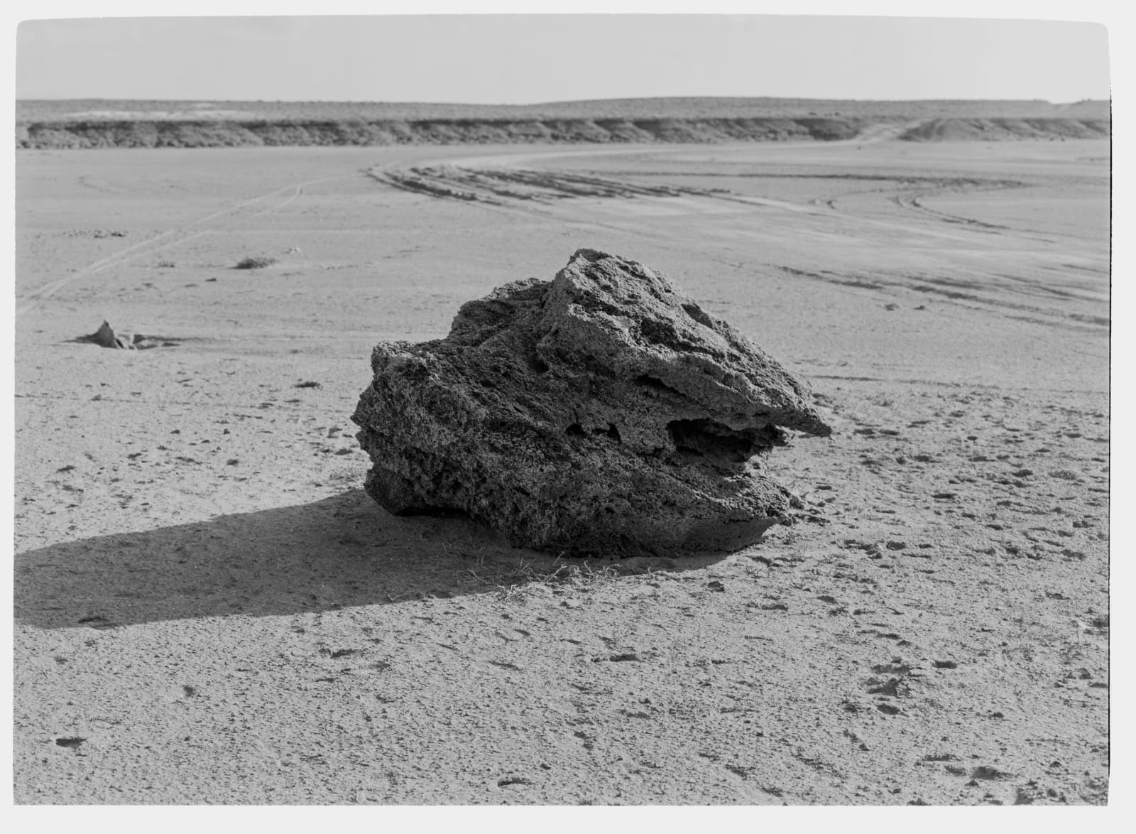 Beatriz Grau, Moverse con el viento V, 2025