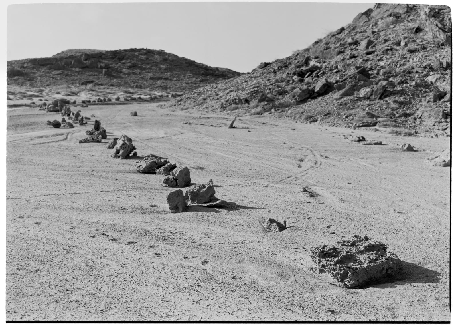 Beatriz Grau, Moverse con el viento IV, 2025