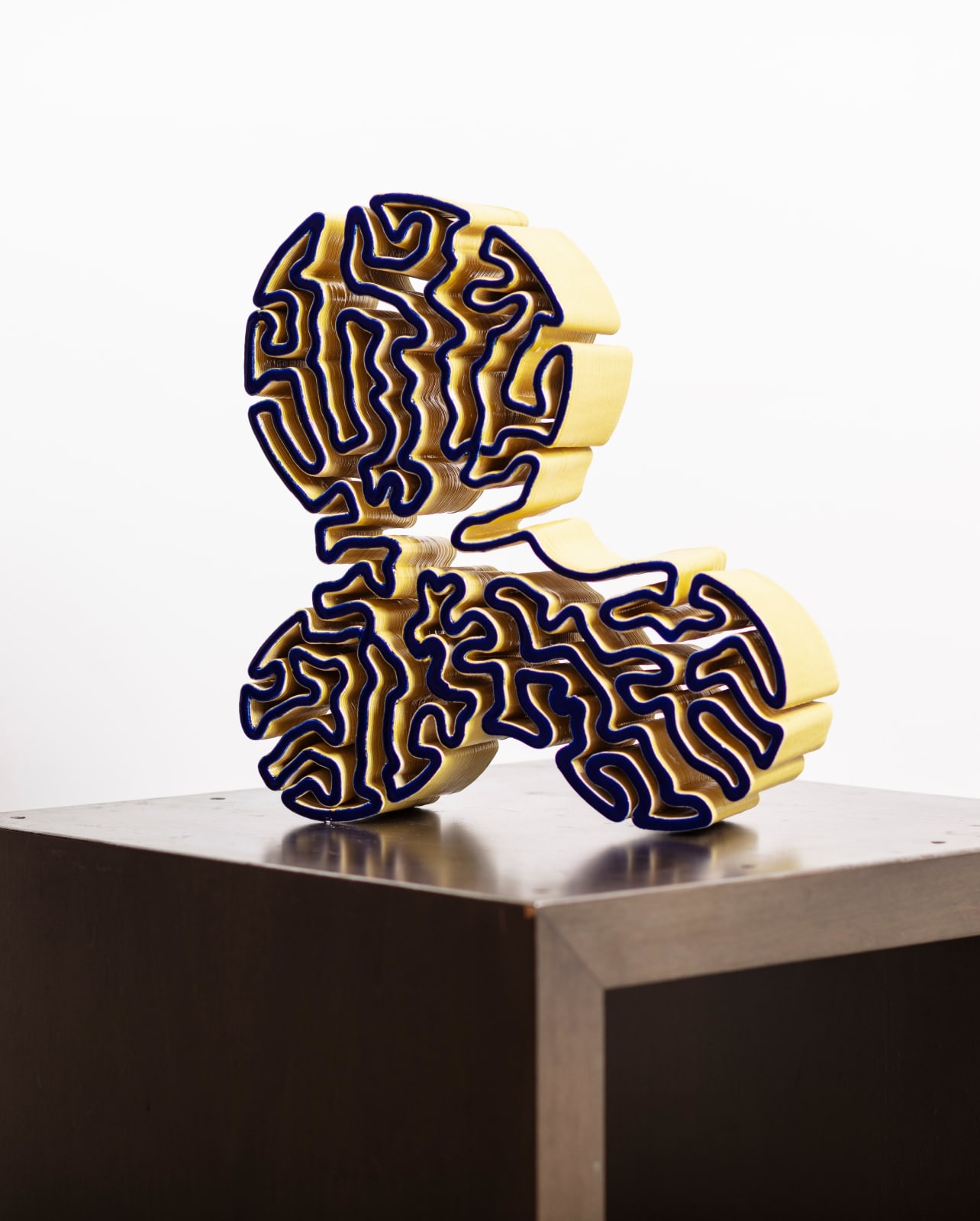 MIGUEL CHEVALIER, Brain Corals Stratigraphy 7, 2024