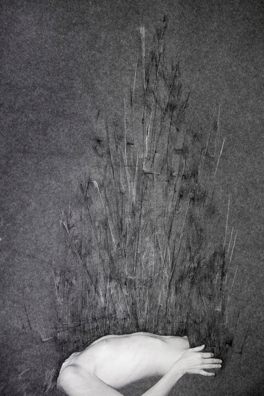 TAMAR KASPARIAN & FRANCE DUBOIS, Anatomia #10