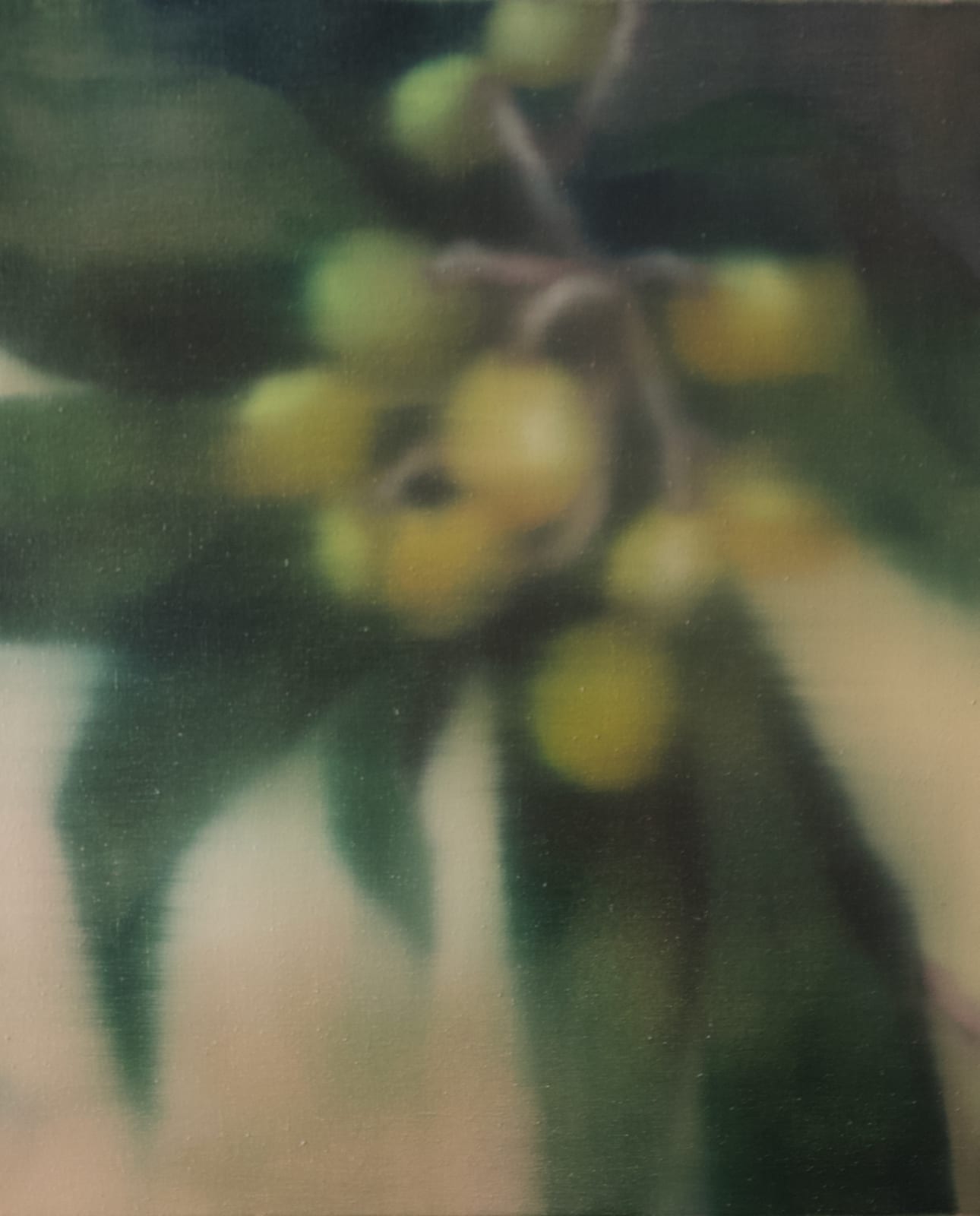 Johanna Bath, Persimmon, 2025