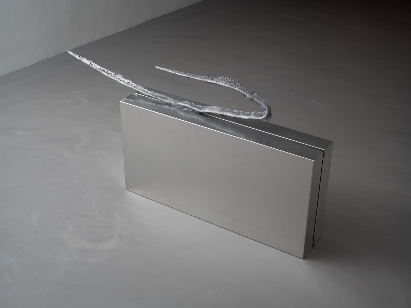 Dimitris Tampakis, Loving every second, every moment, every scream, 2025