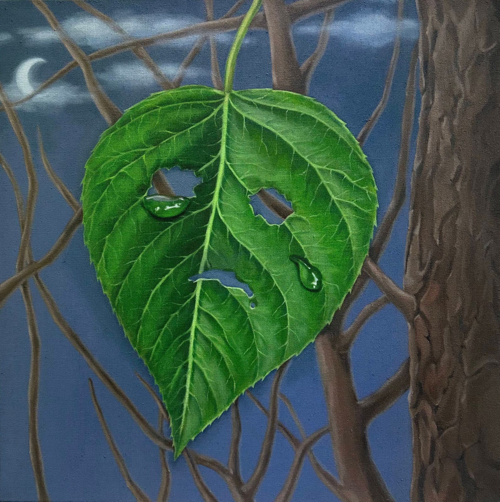 Minyoung Kim, The Last Leaf, 2025