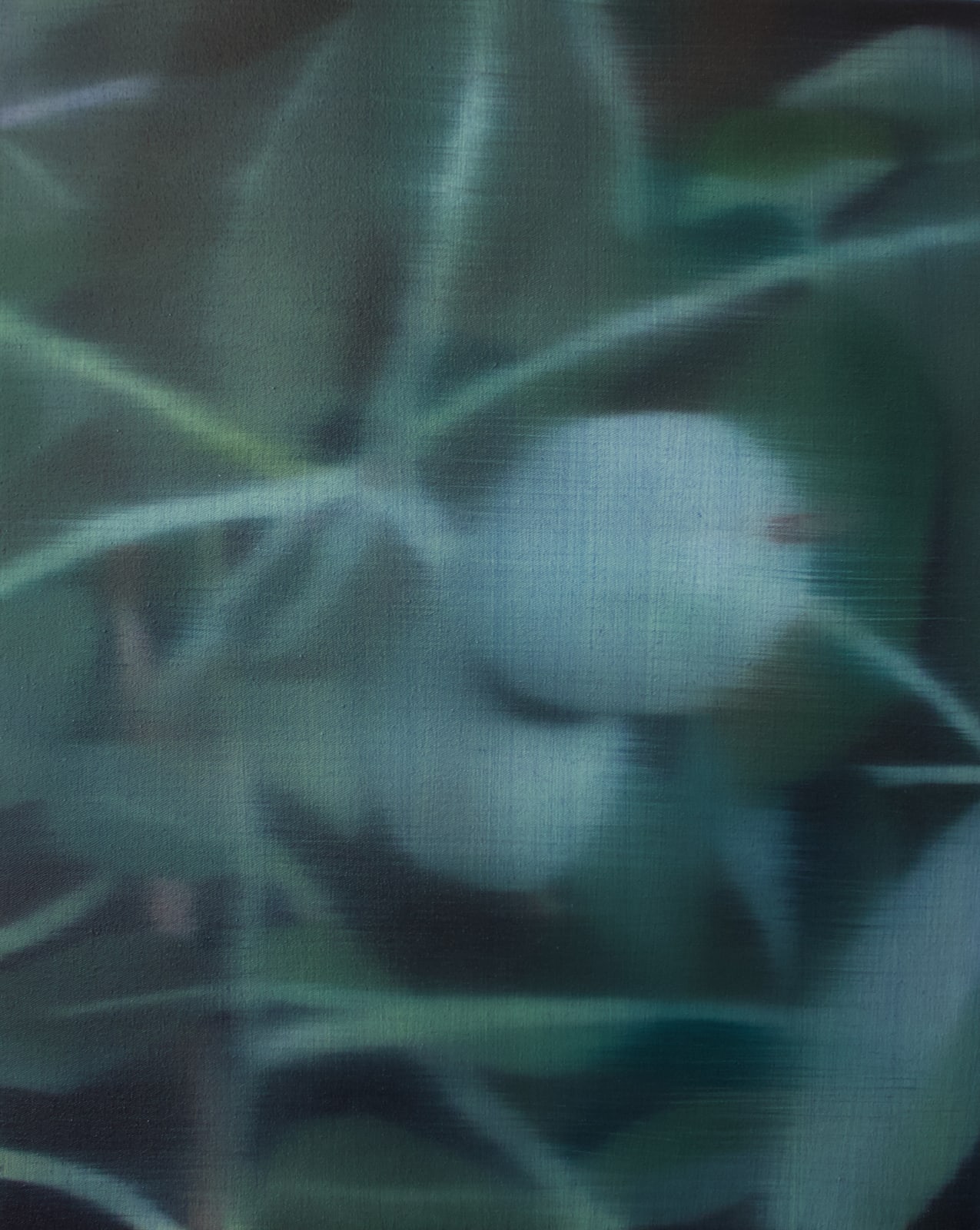 Johanna Bath, Midnight walnut, 2025