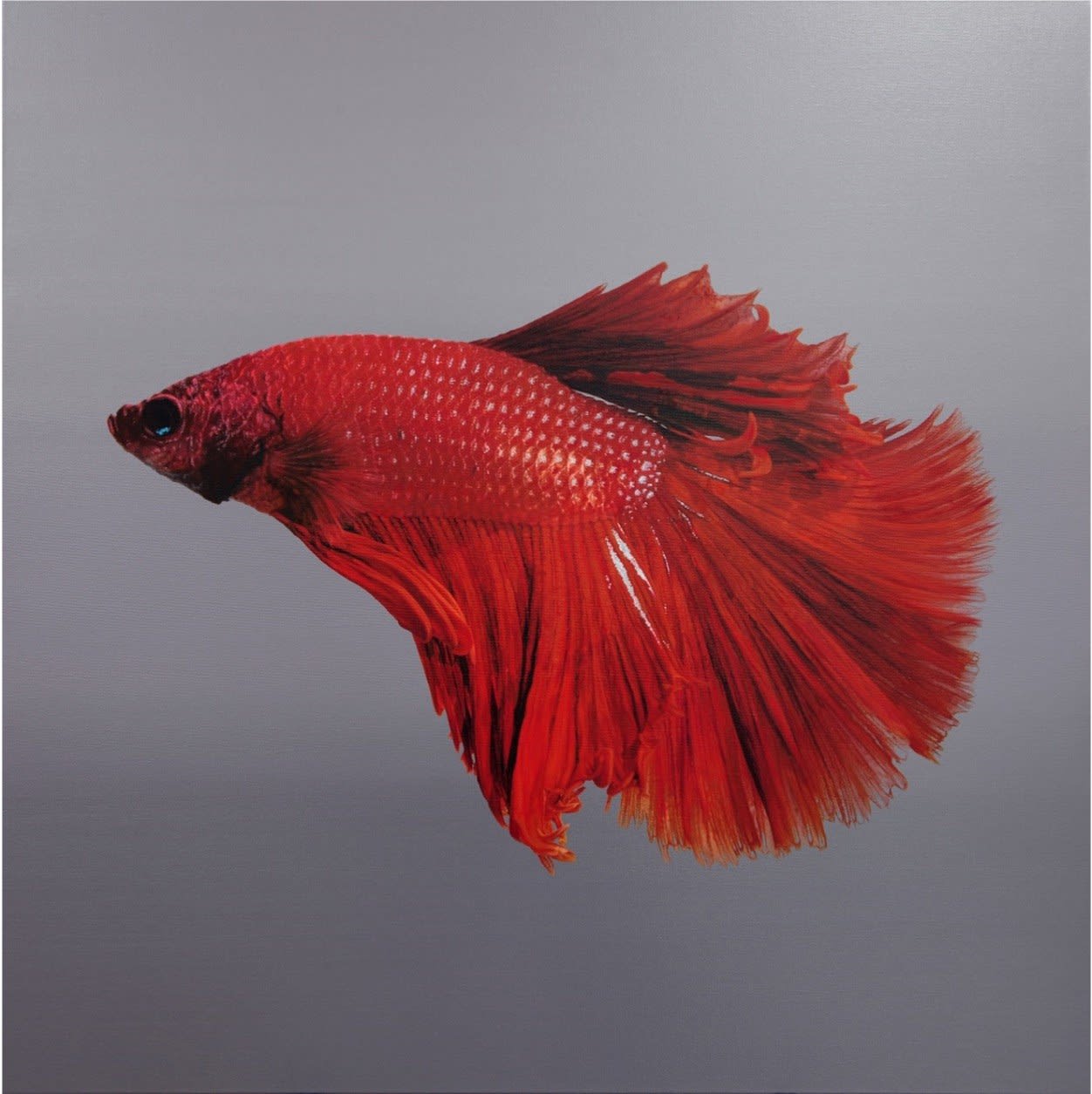 김영성, [無. 生. 物], 2025