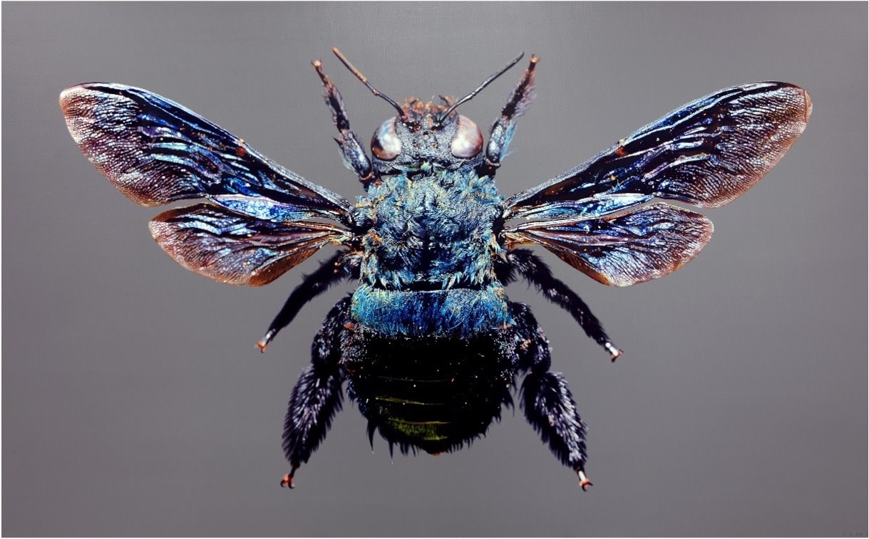 김영성, [無. 生. 物], Digital print. 1/5, 2023