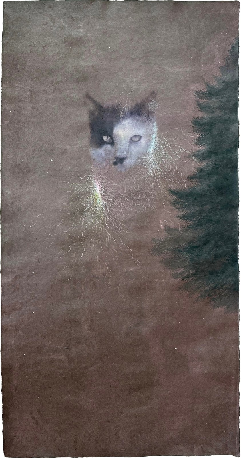 백효훈, 달의 숲-오페라, 2024