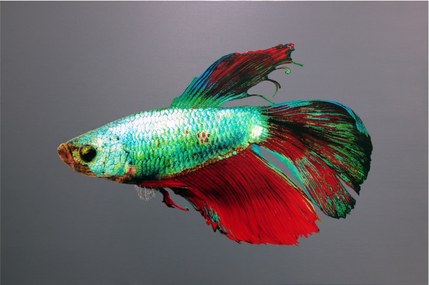 김영성, [無. 生. 物], 2025