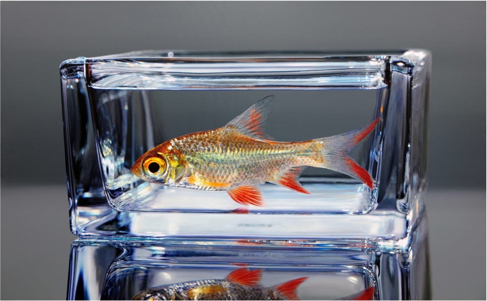 김영성, [無. 生. 物], 2022