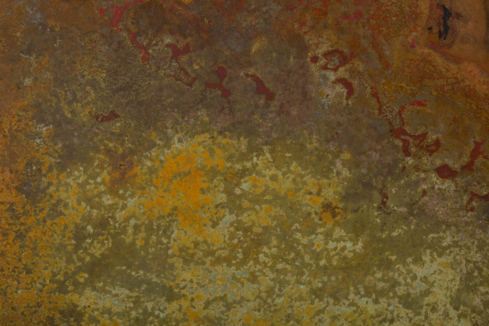 Hatakeyama Kōji, Six Faces, 2025