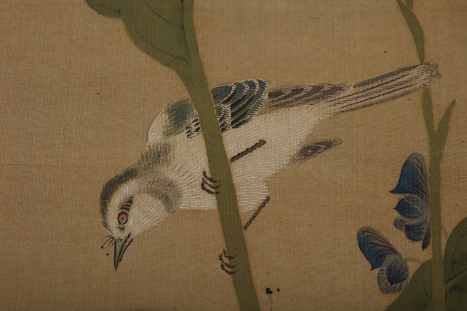 Yokoi Hei Jishiki, Bird and Canna Indica, ca 1800