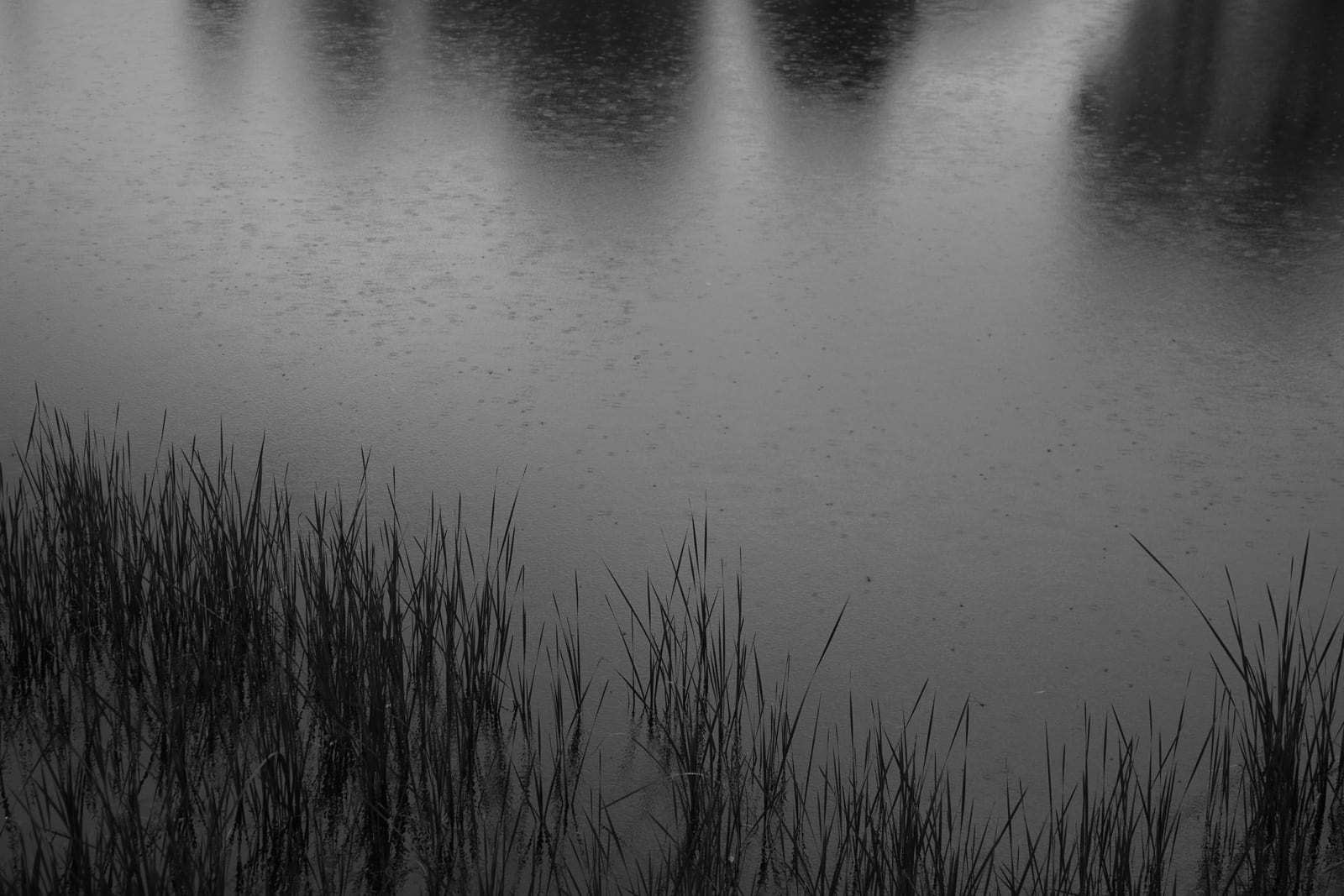 Tomohiro Muda, Mizu 37 (Water 37), 2012