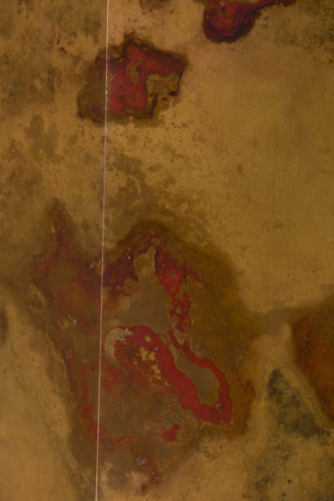 Koji Hatakeyama, Eight Faces, 2025