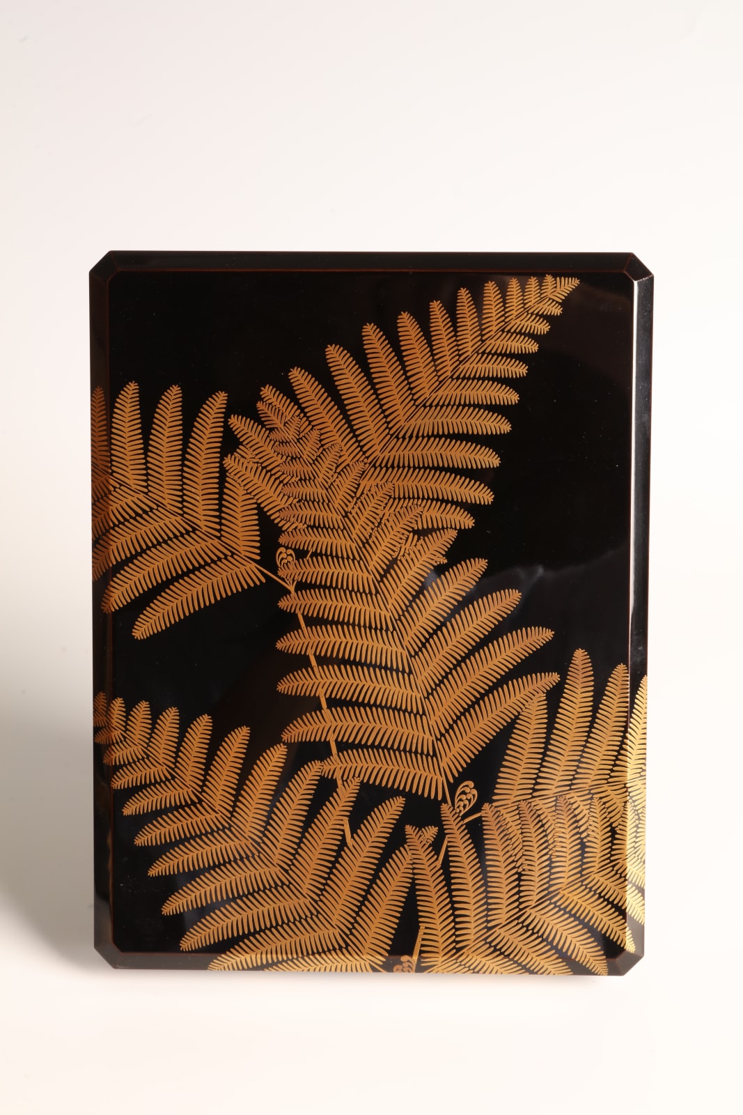Miki Gyokushin II, Set of Paper Box, Box for Writing Utensils, and Box for Brushes with Design of Ferns, 1920s
