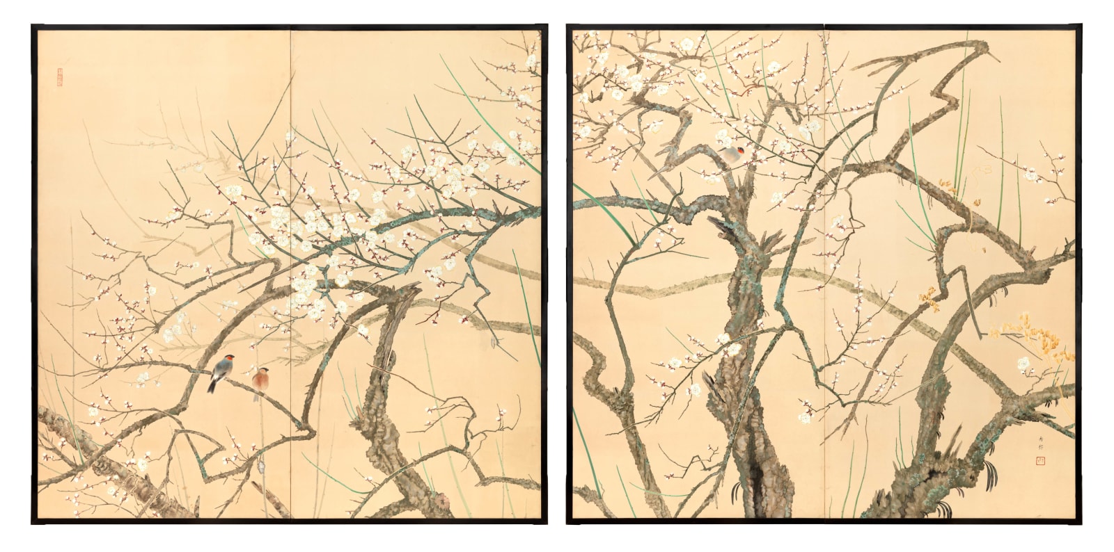 Shirayama Shunpō, Blooming Plum Trees and Birds, ca 1915