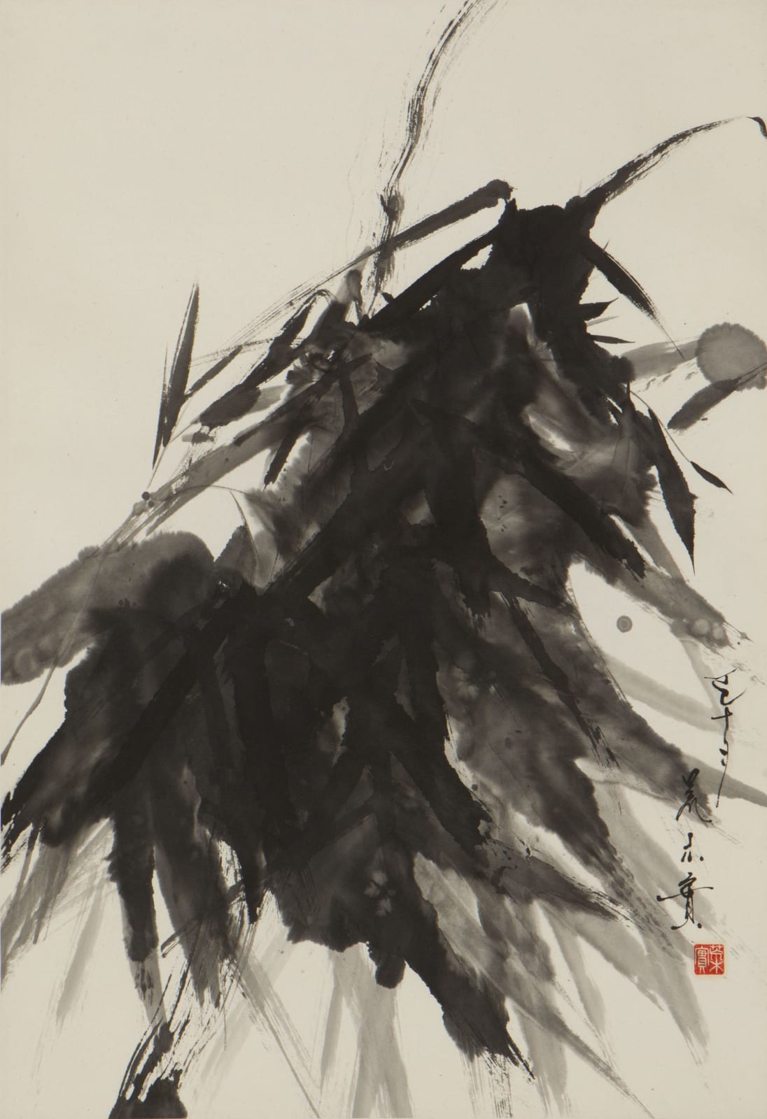 Minol Araki, Bamboo, 1977