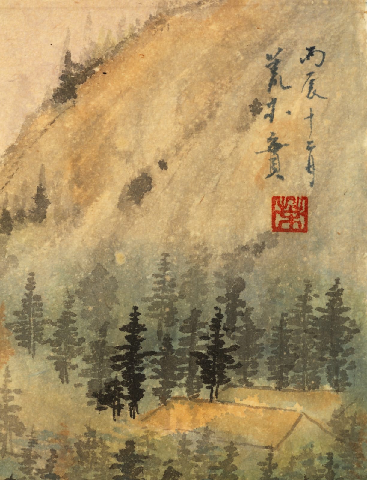 Minol Araki, Cliff and Rice Paddy, 1976