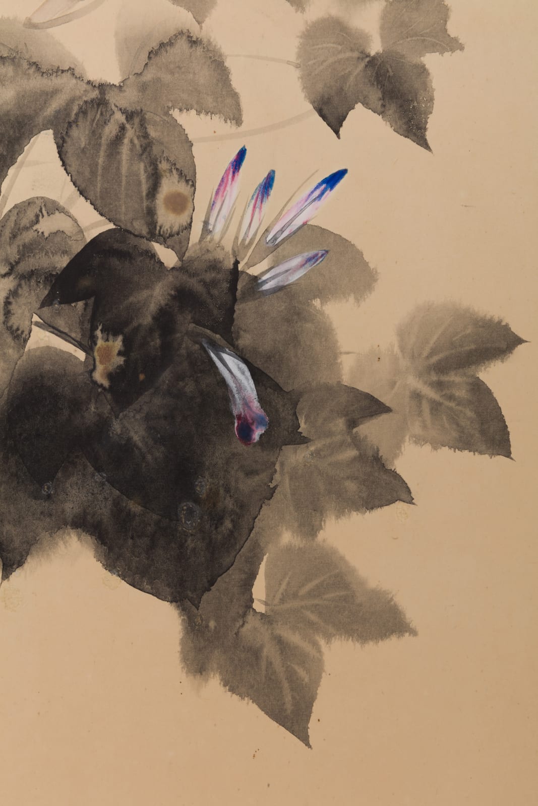 Takeda Koyō, Hollyhocks, Morning Glories, and “Maltese Cross”, ca 1925