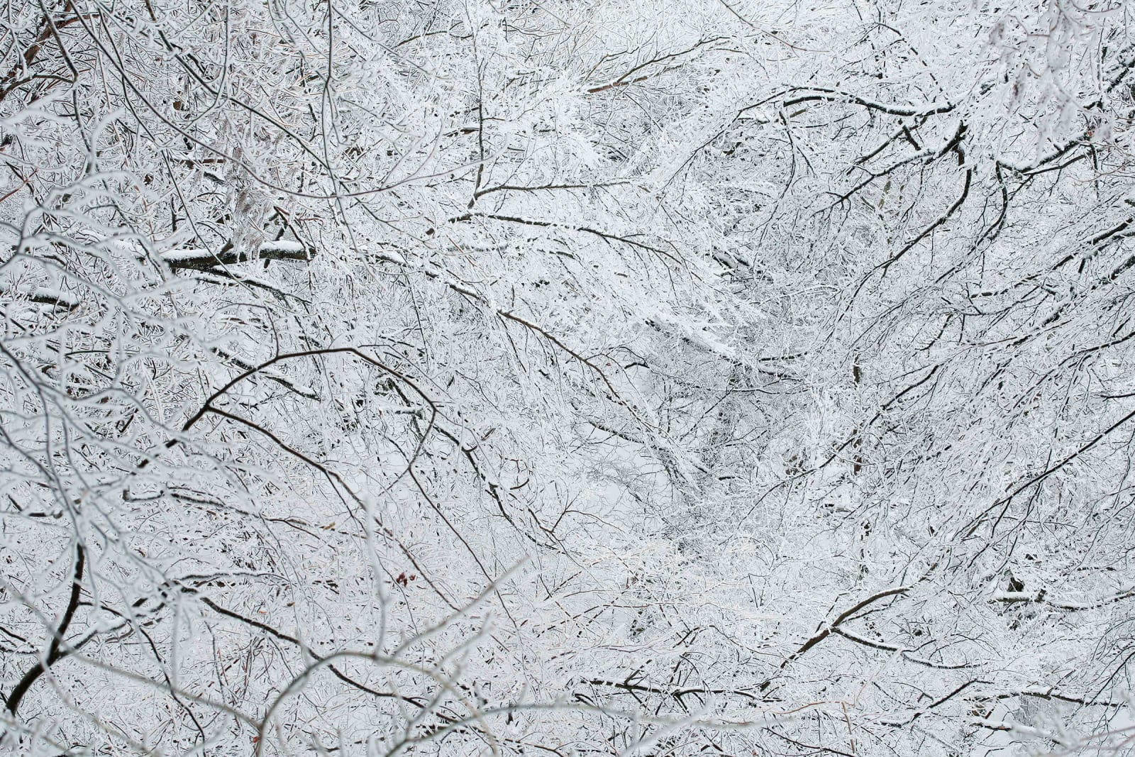 Tomohiro Muda, Mizu 29 (Water 29), 2012