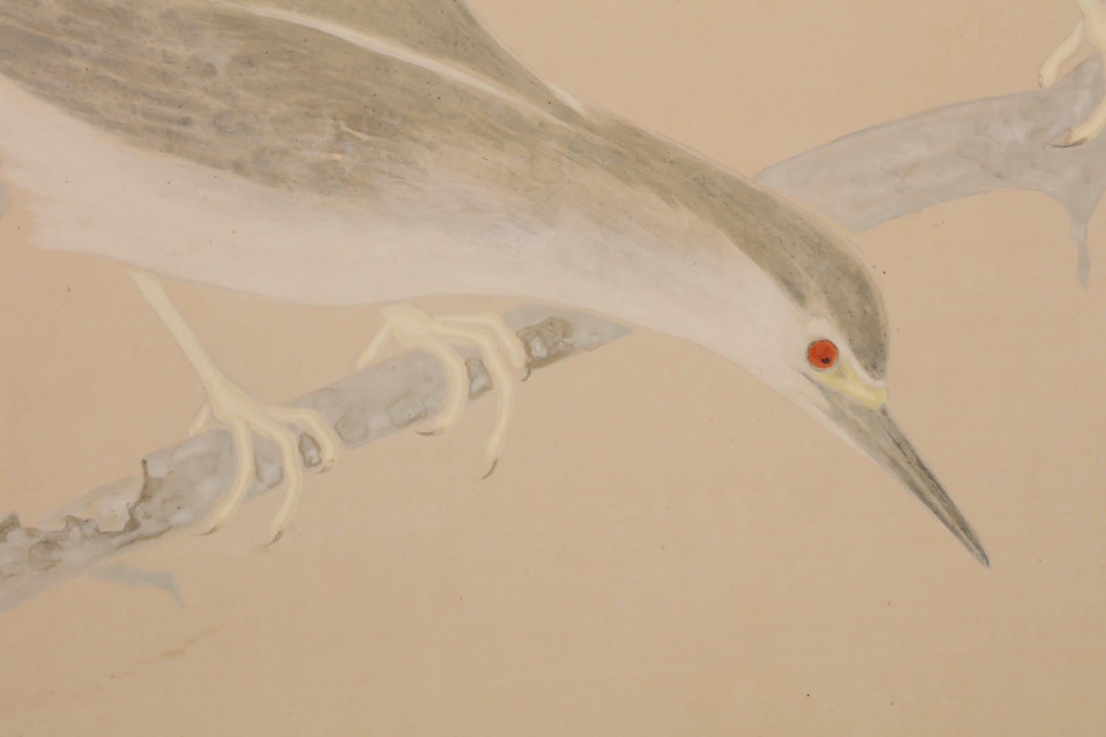 Ikegami Shuho, Night Herons, 1930s