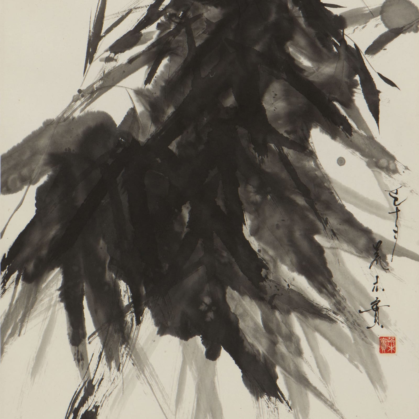 Minol Araki, Bamboo, 1977