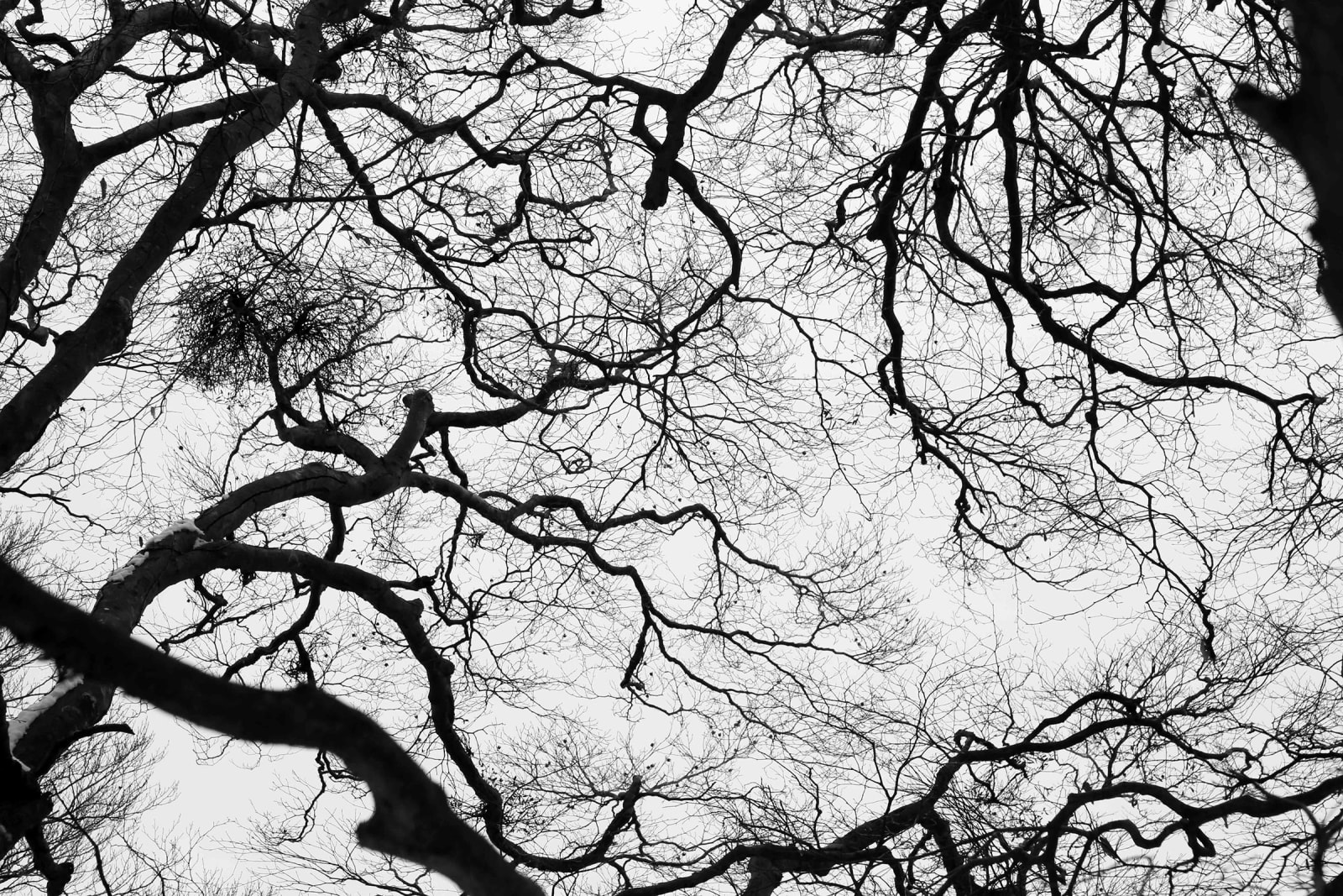 Tomohiro Muda, Mizu 39 (Water 39), 2012