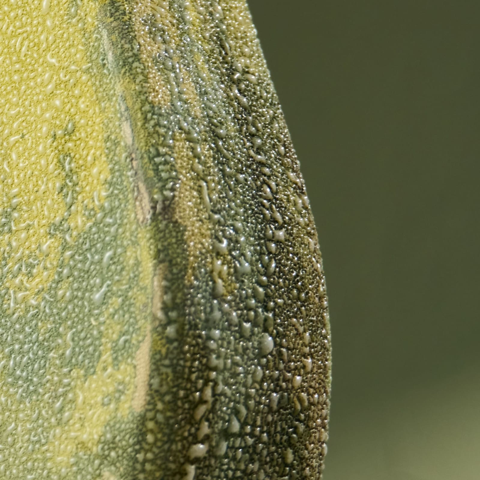 Eunsol Kim, 'Condensation' Series C3, Glazed Ceramic Sculpture in Green, The Netherlands, 2025