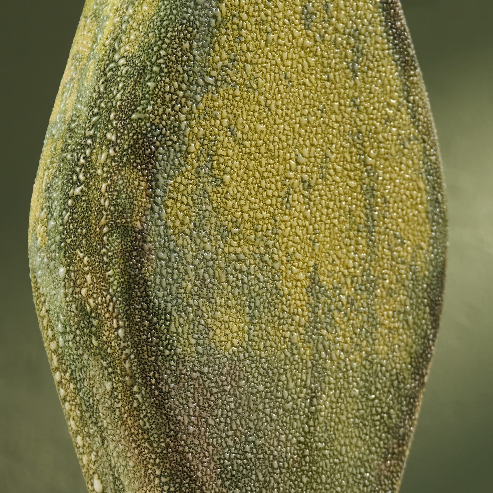 Eunsol Kim, 'Condensation' Series C3, Glazed Ceramic Sculpture in Green, The Netherlands, 2025