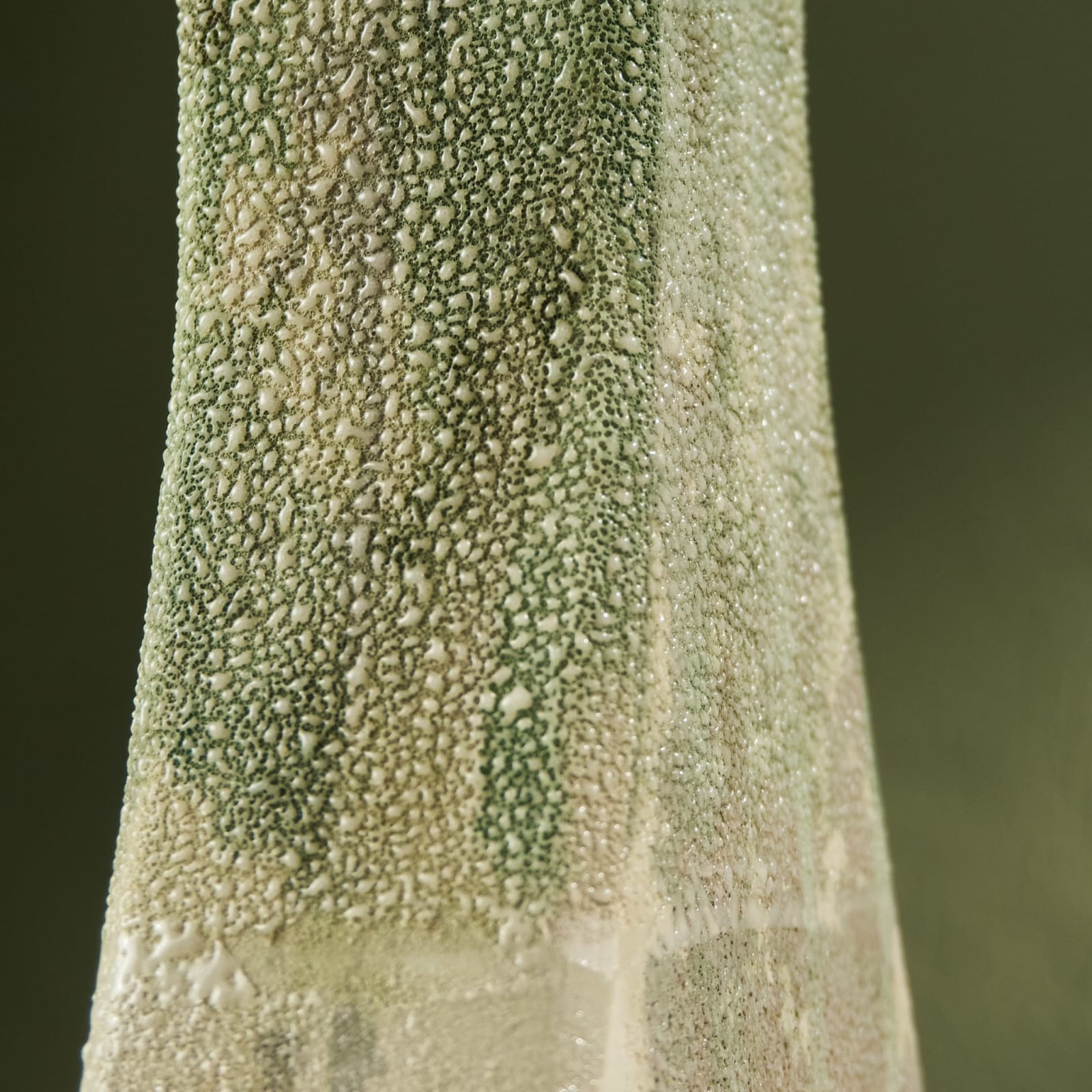Eunsol Kim, 'Condensation' Series C4, Glazed Ceramic Sculpture in Green, The Netherlands, 2025