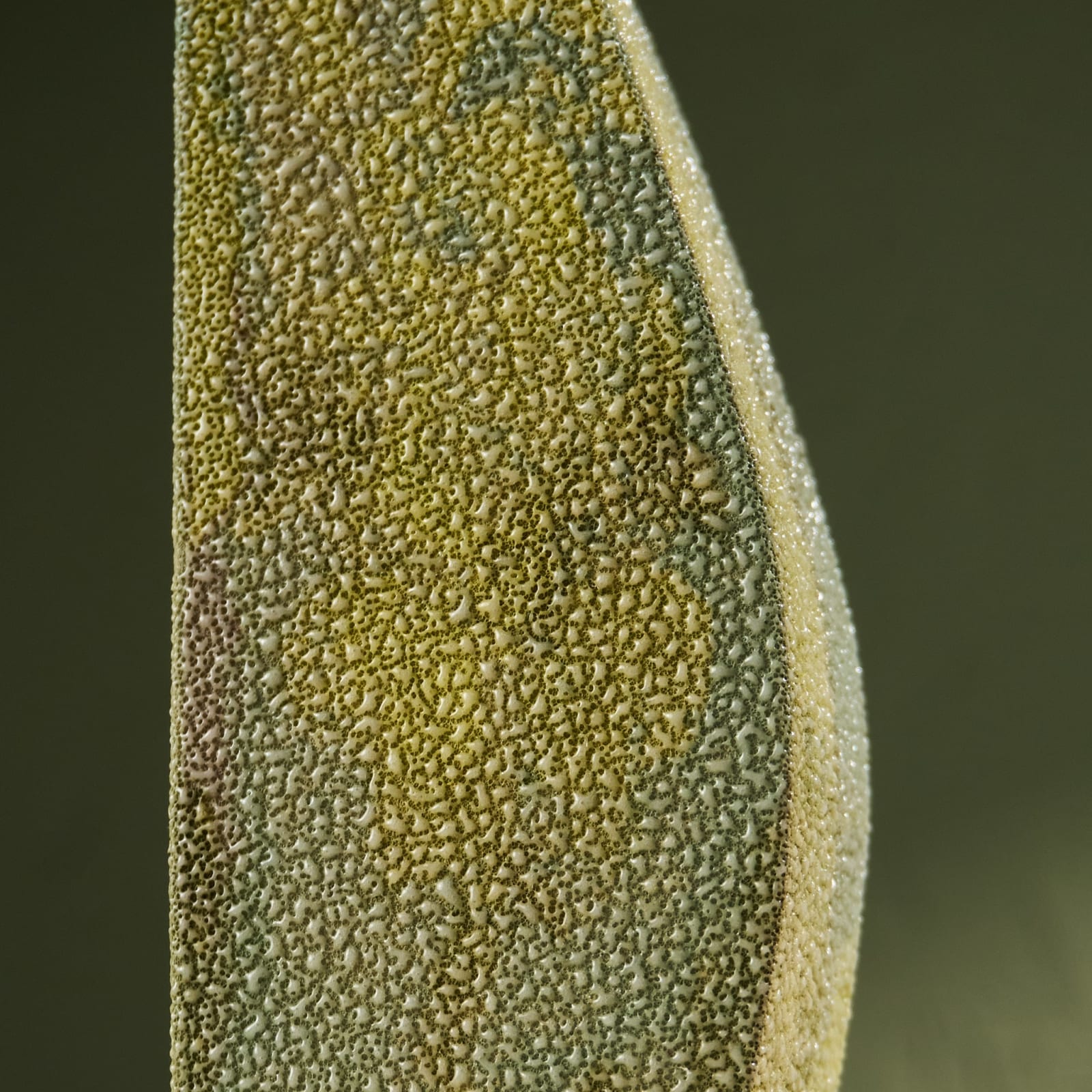 Eunsol Kim, 'Condensation' Series C6, Glazed Ceramic Sculpture in Green, The Netherlands, 2025