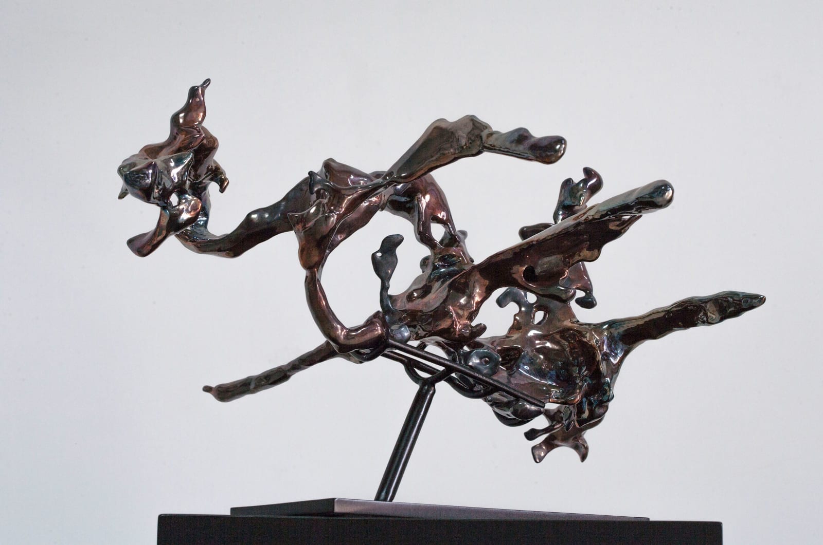 展望 ZHAN Wang, 隱形 20# Forms in Flux No.20, 2017