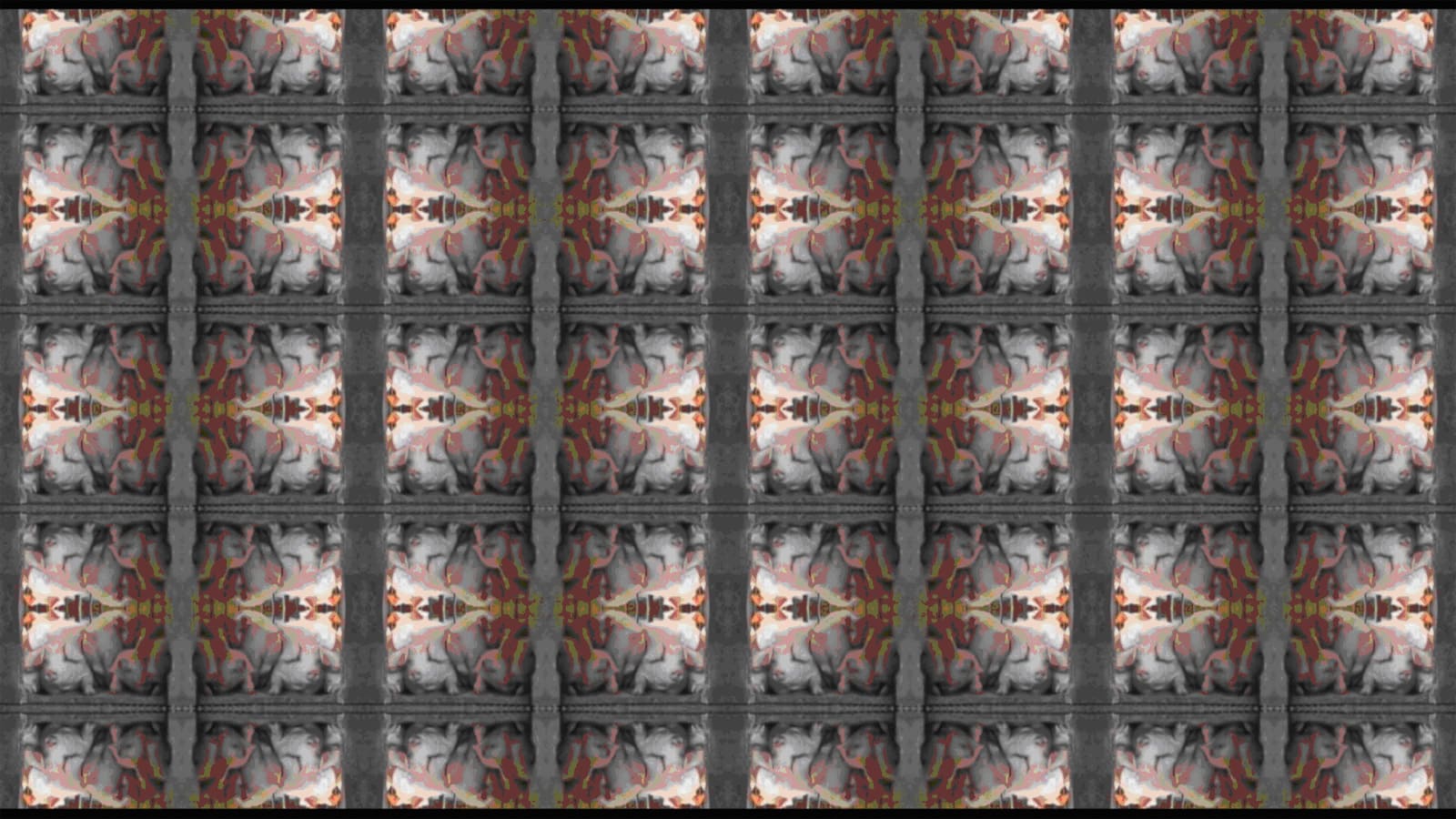 吳長蓉 WU Chang Jung, 紀錄片II-家興 Documentary II-Jia Hsin, 2009